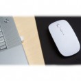 /album/acc-computo/mou-070-2-jpg/